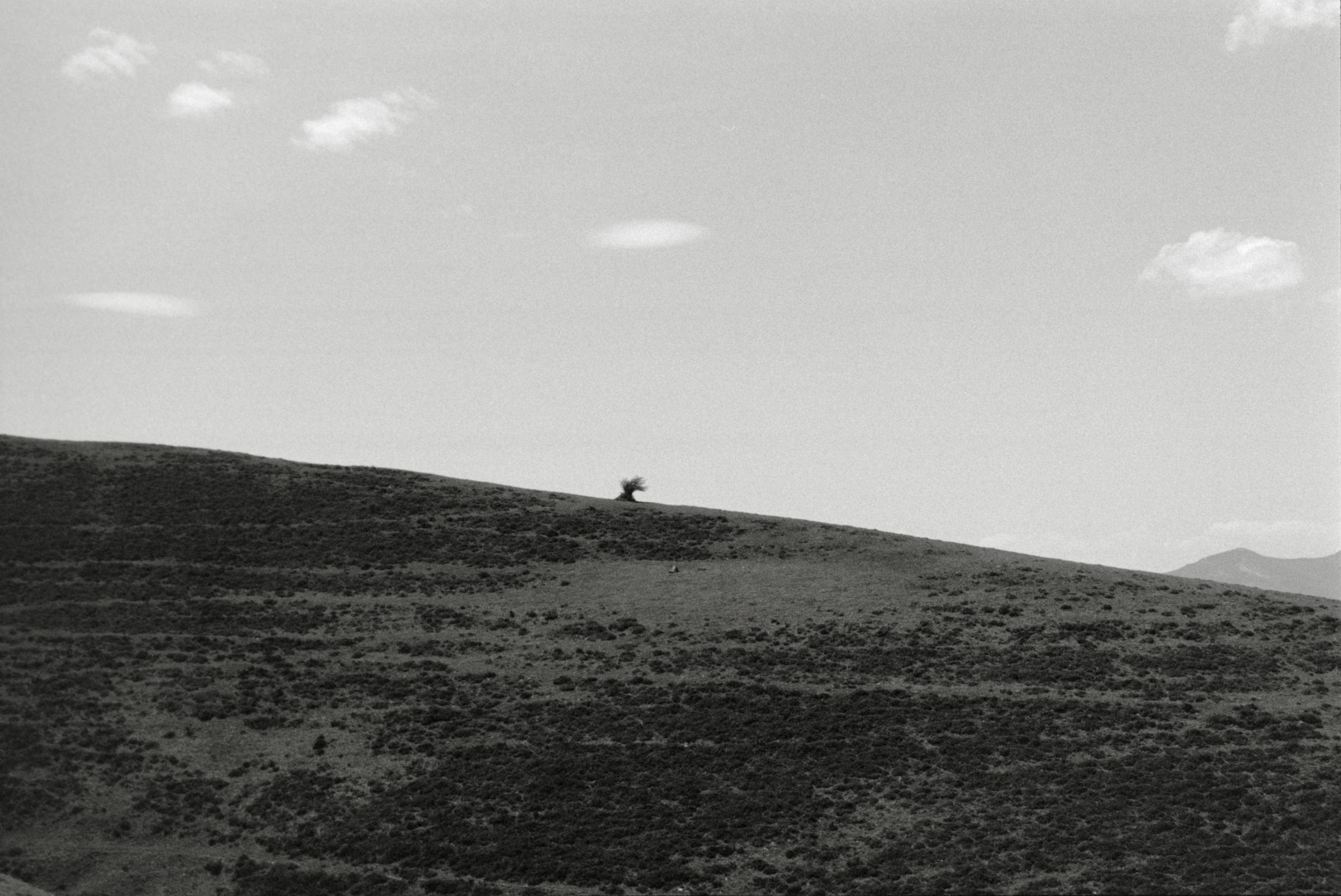 AHP F1995 05 005 sc240818 img15 NLP